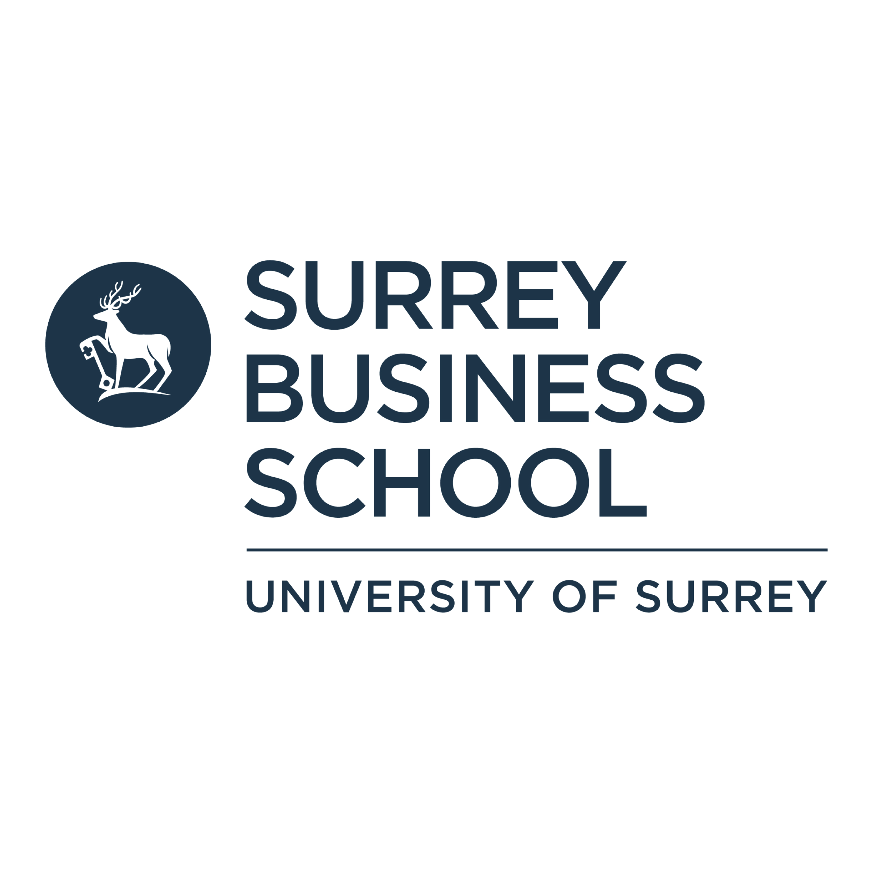 University Of Surrey, Surrey Business School